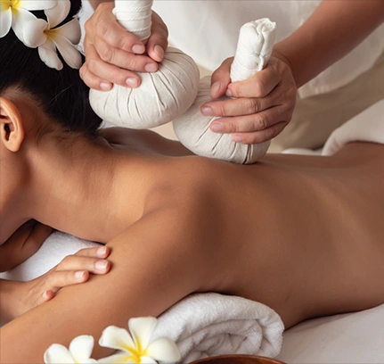 Coussinets à Base de Plantes